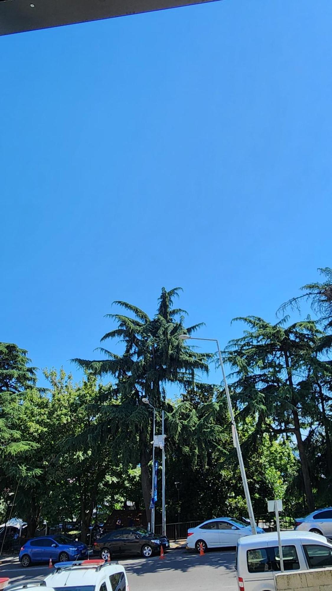 Esa Apart Hotel Τραμπζόν Εξωτερικό φωτογραφία